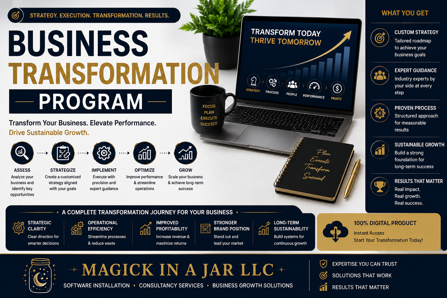 Business Transformation Program